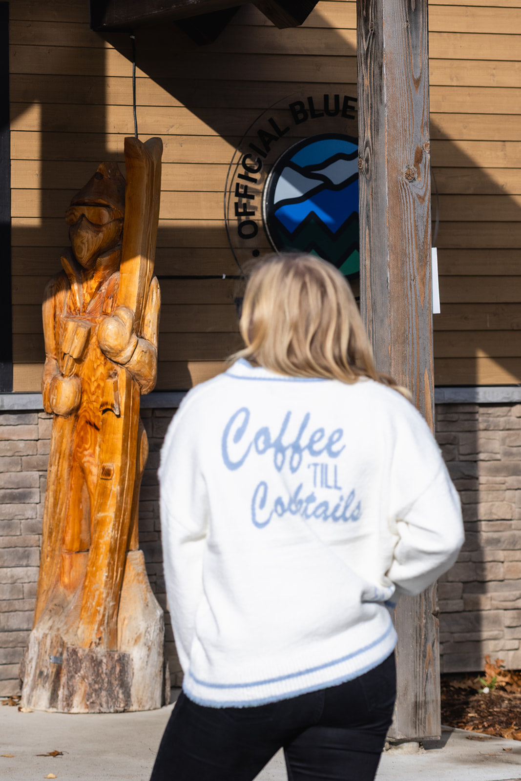 Fuzzy V Neck Sweater