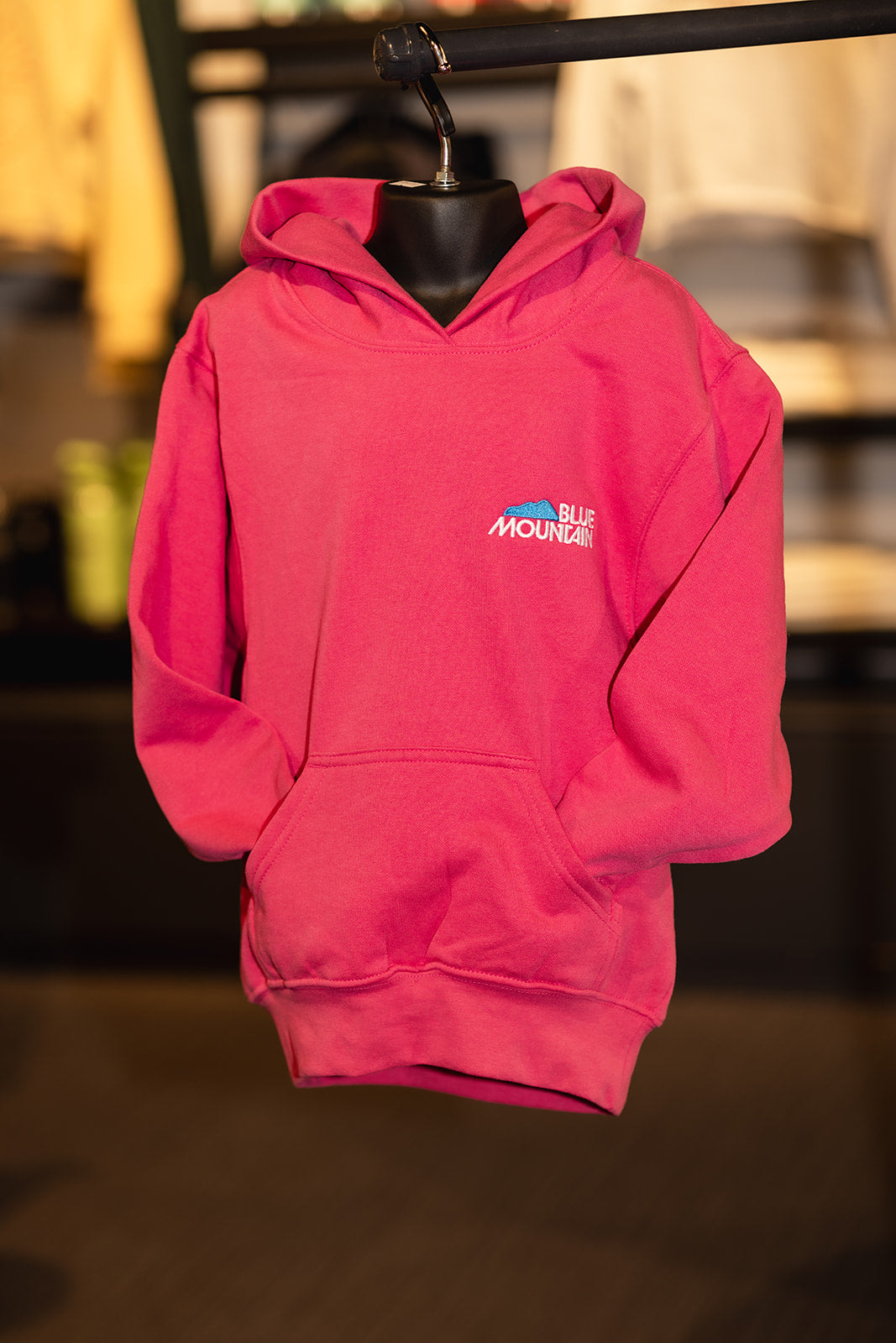 Blue Mountain Liftie Hoodie - Youth
