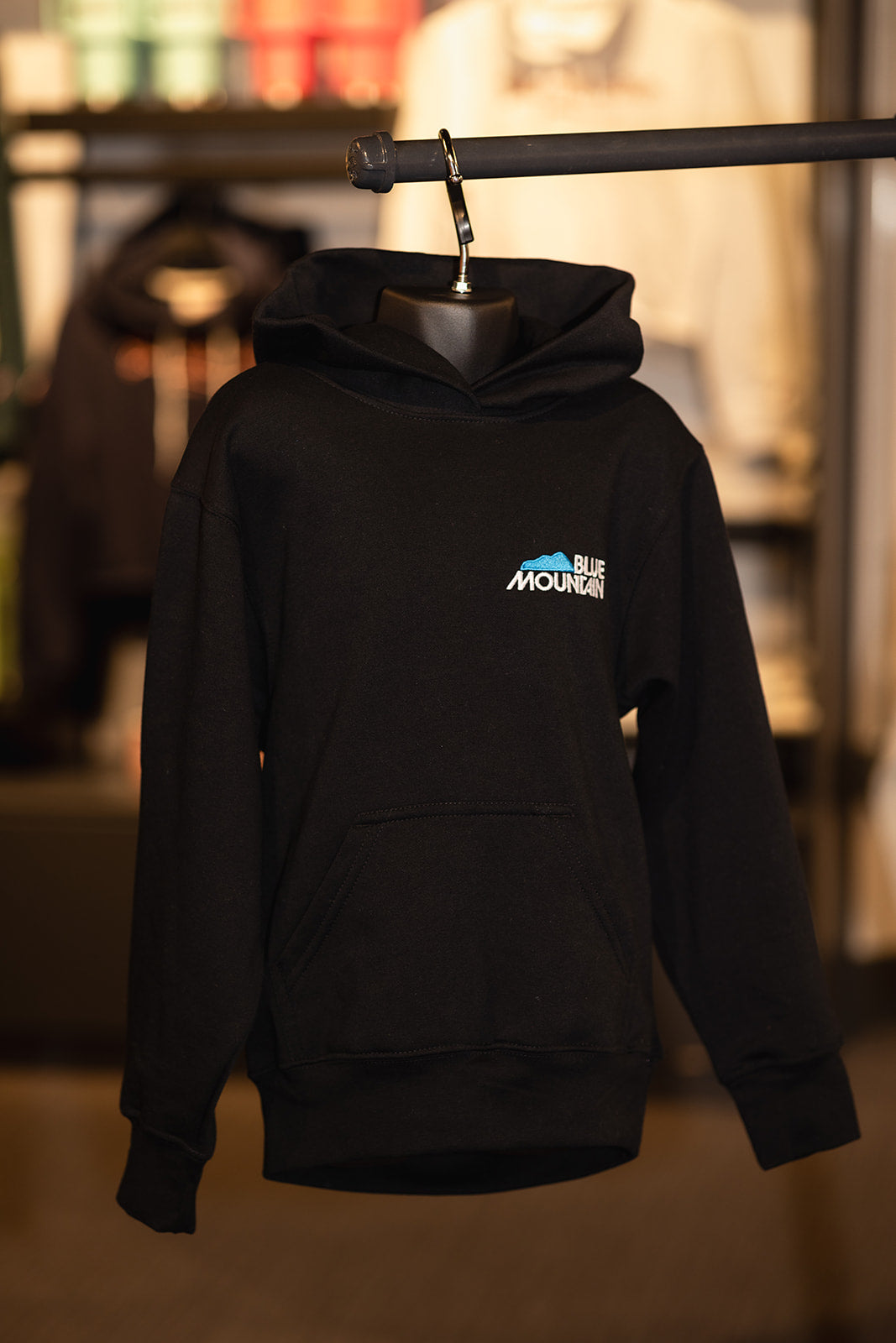 Blue Mountain Liftie Hoodie - Youth