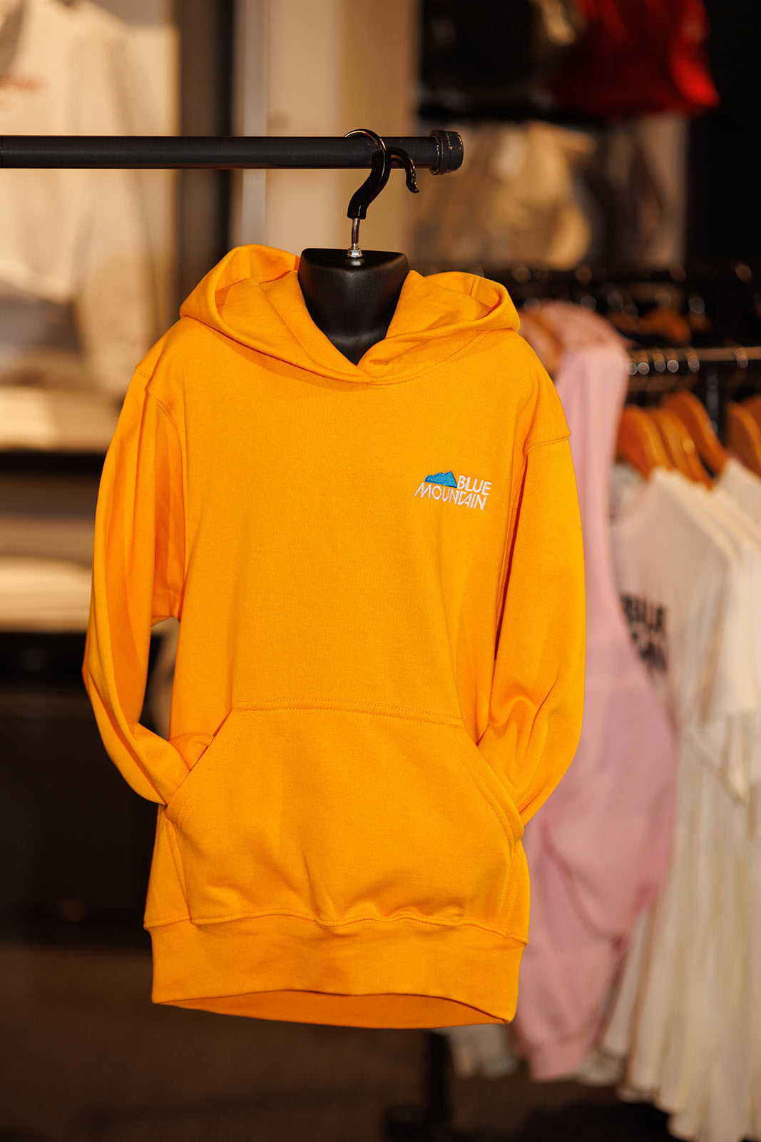Blue Mountain Liftie Hoodie - Youth