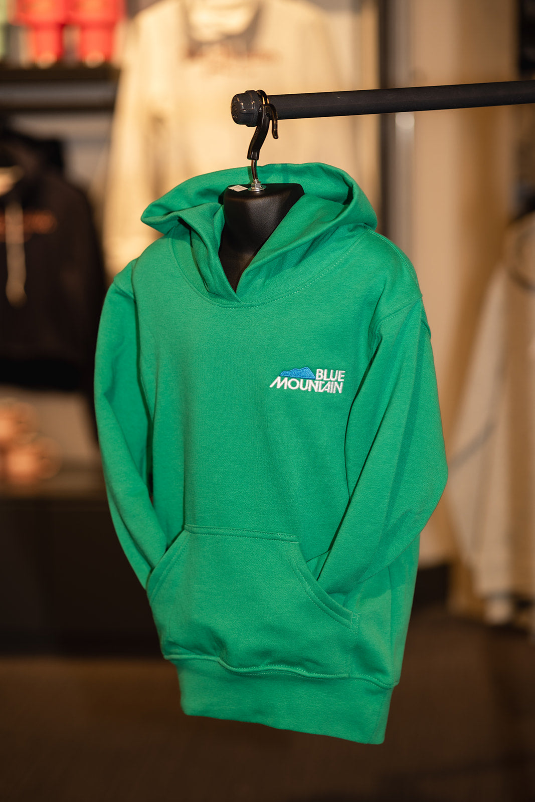 Blue Mountain Liftie Hoodie - Youth