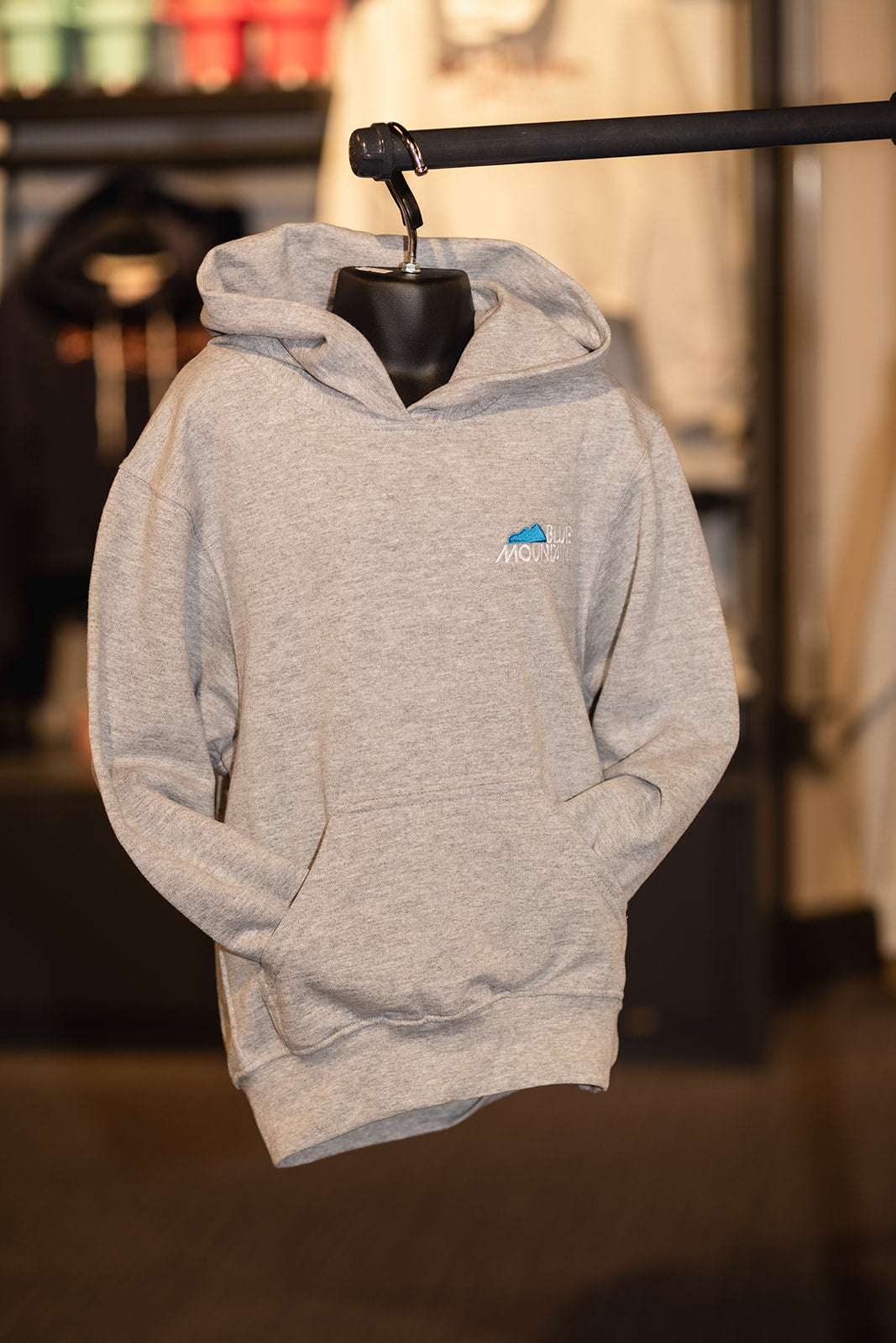 Blue Mountain Liftie Hoodie - Youth