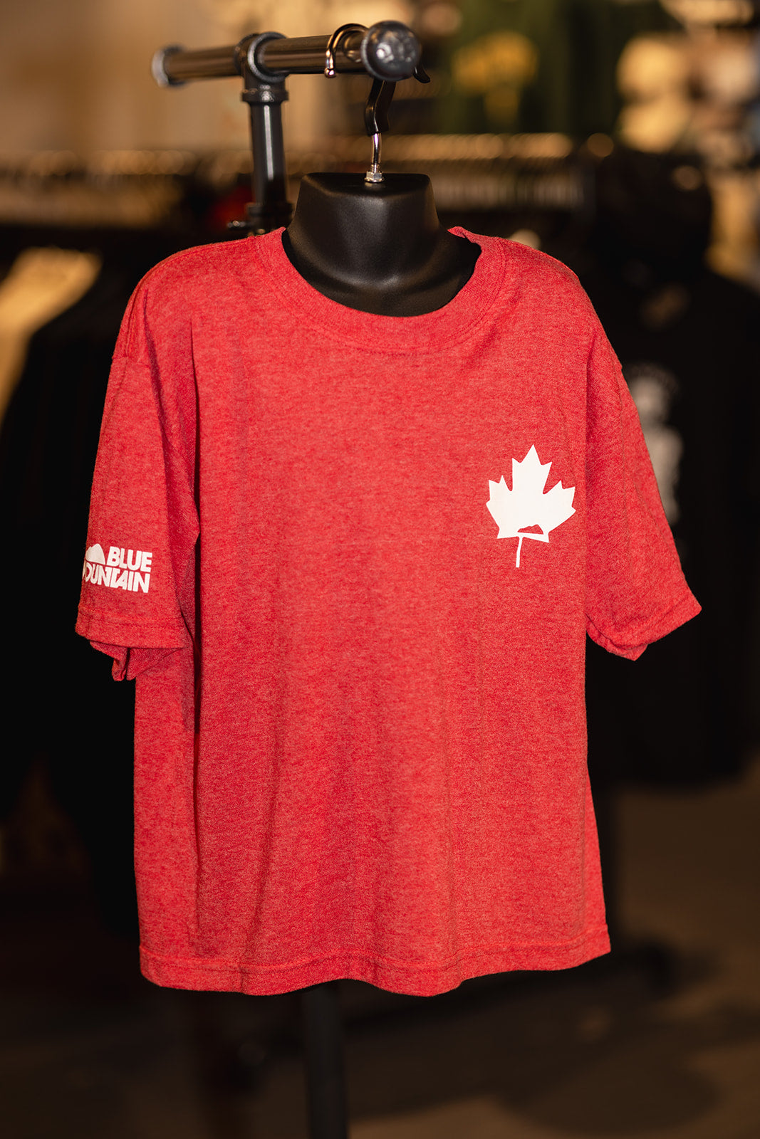 Blue Mountain Canada Day Youth Tee