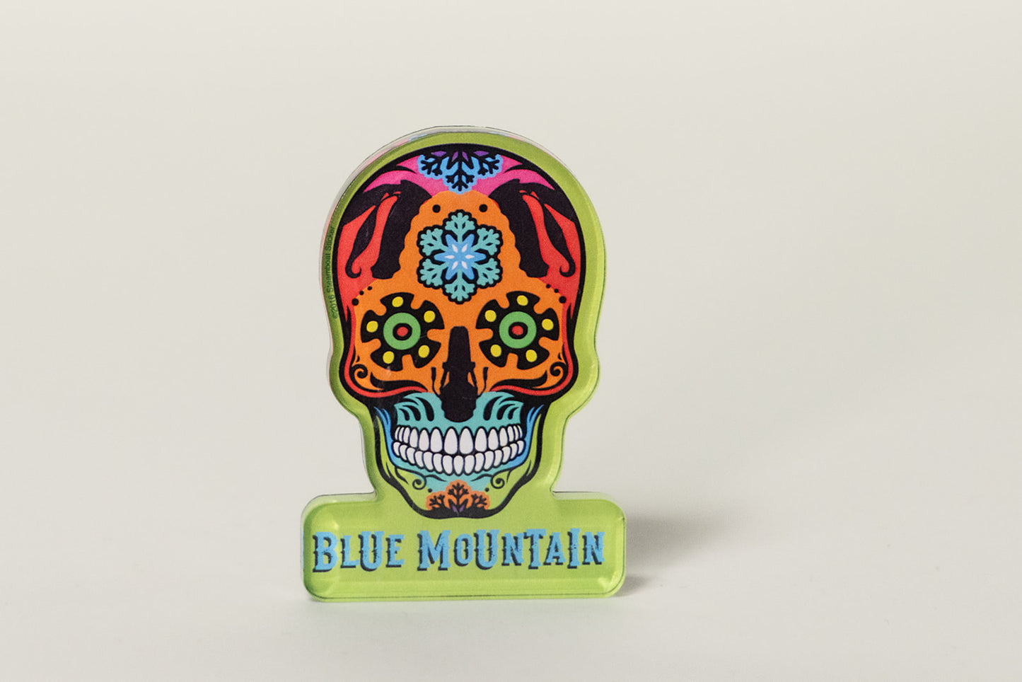 Ski Skull Magnet